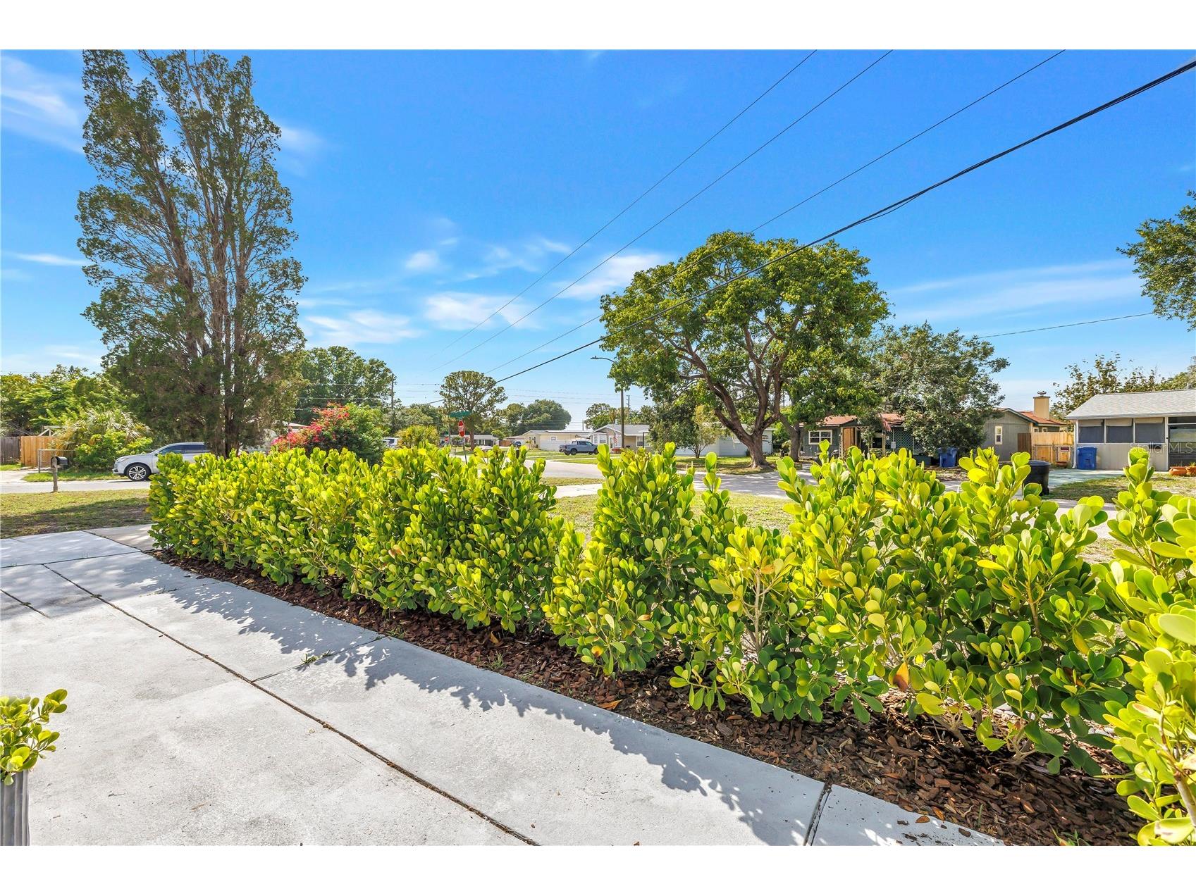 7599 Meadowlawn Drive N Saint Petersburg FL 33702 TB8513107 image5