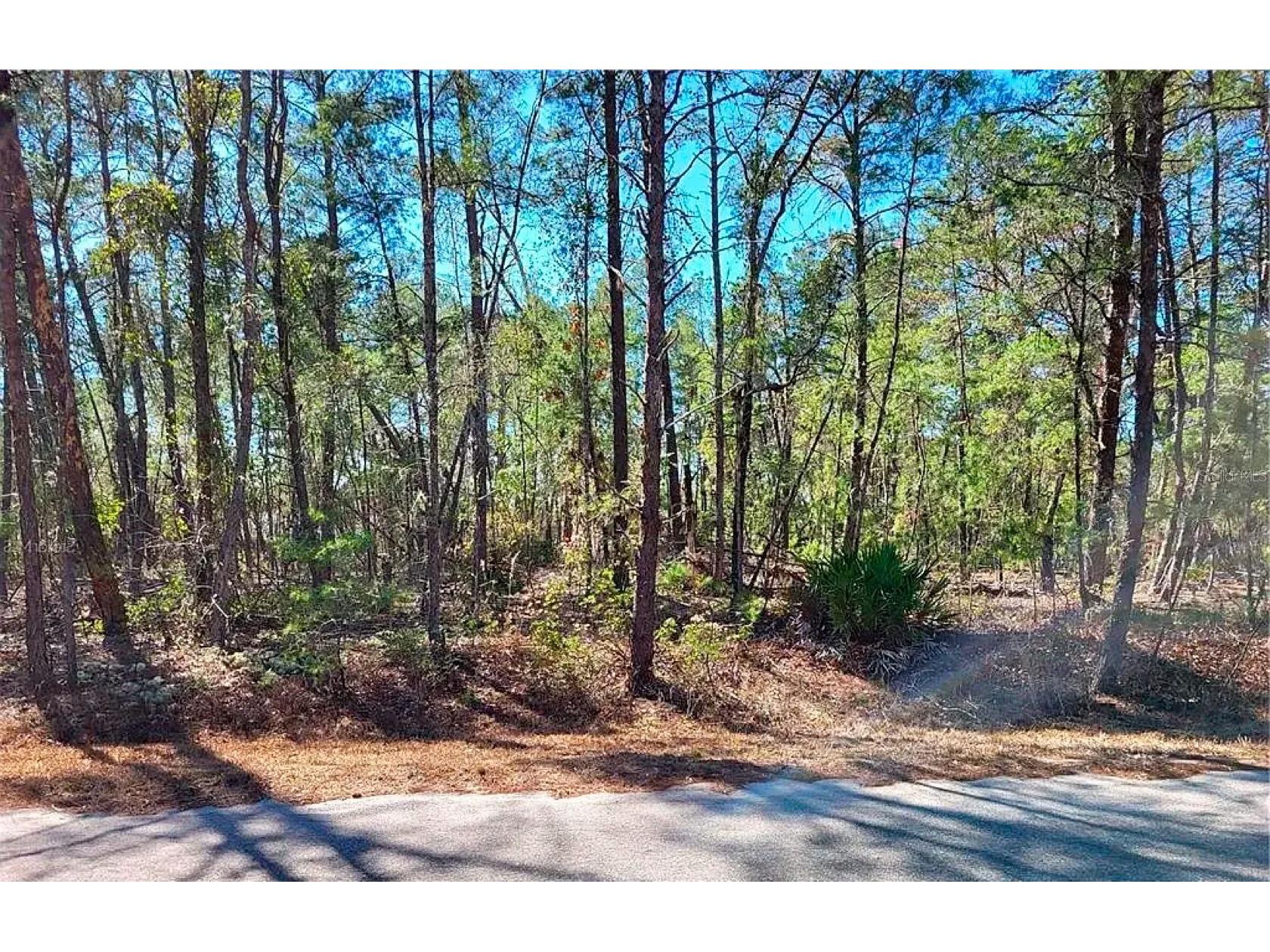 76 Fisher Run Terrace Ocklawaha FL 32179 A4698288 image1