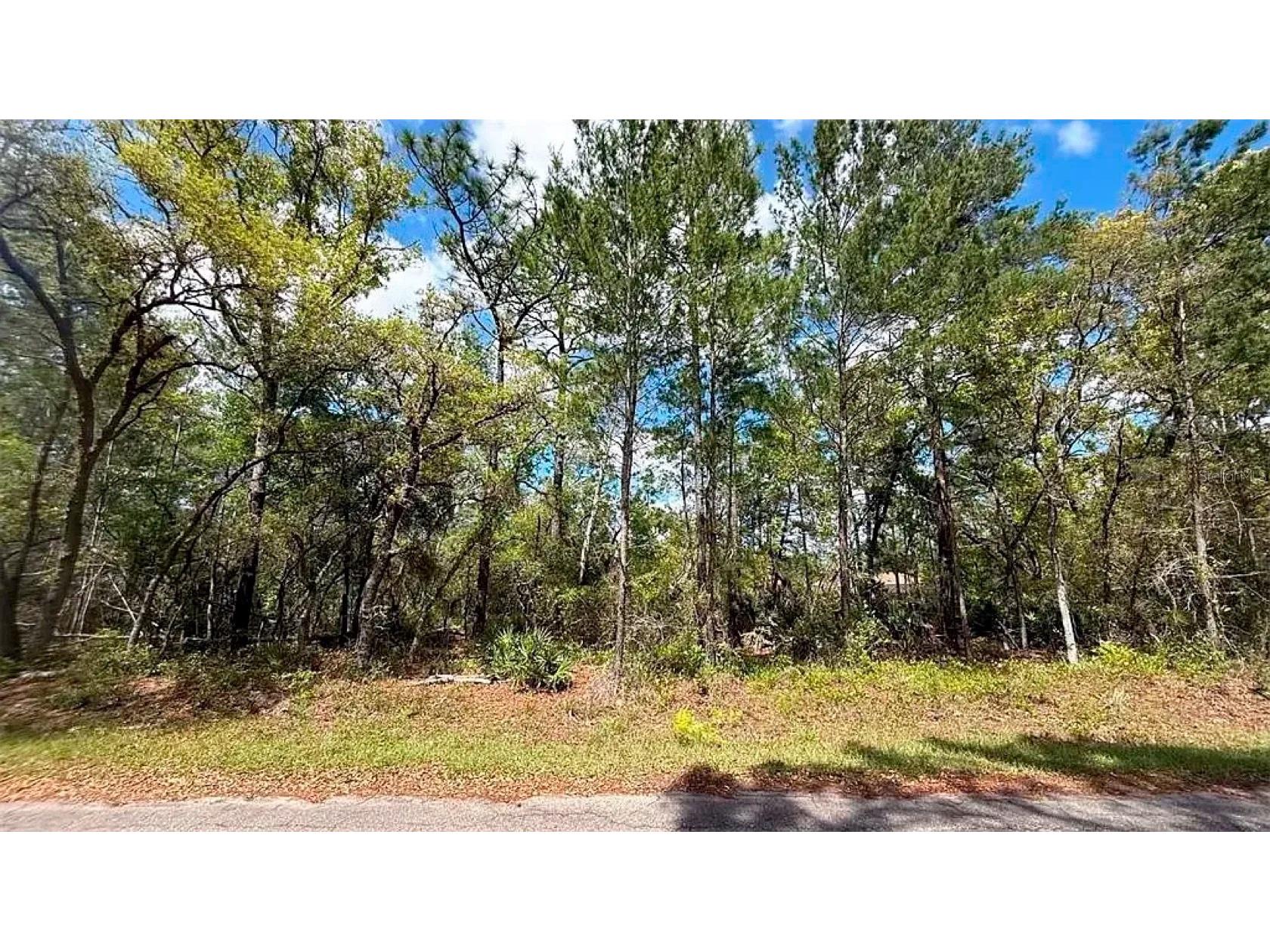 76 Fisher Run Terrace Ocklawaha FL 32179 A4698288 image3