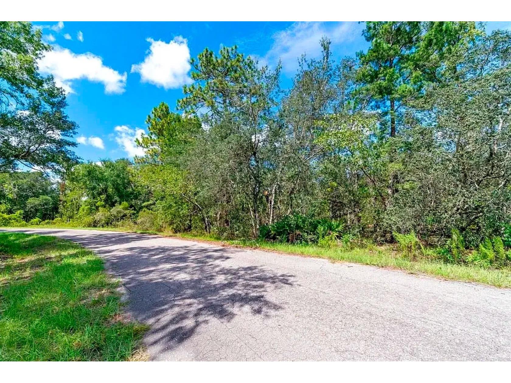 76 Fisher Run Terrace Ocklawaha FL 32179 A4698288 image4