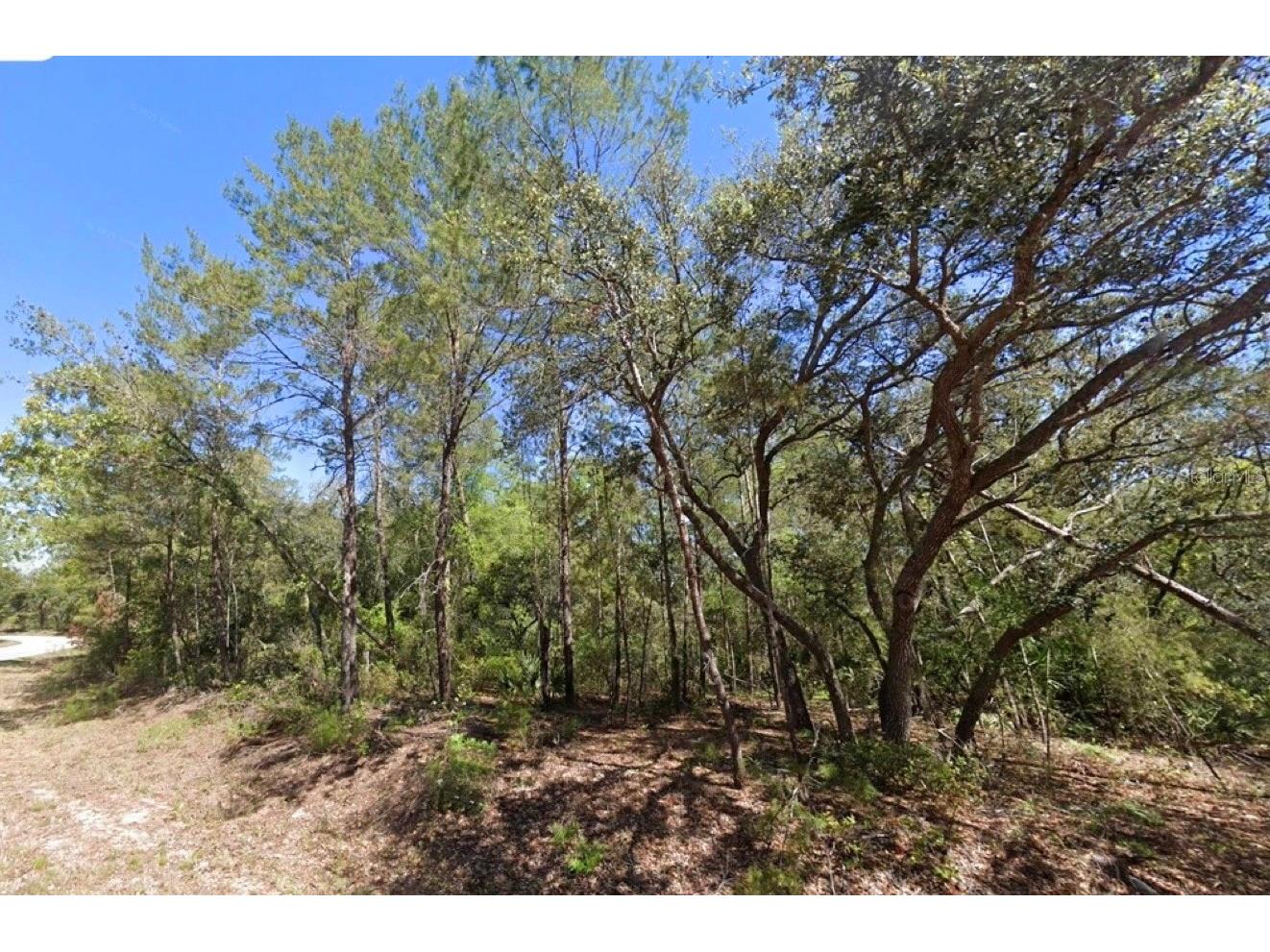 76 Fisher Run Terrace Ocklawaha FL 32179 A4698288 image5