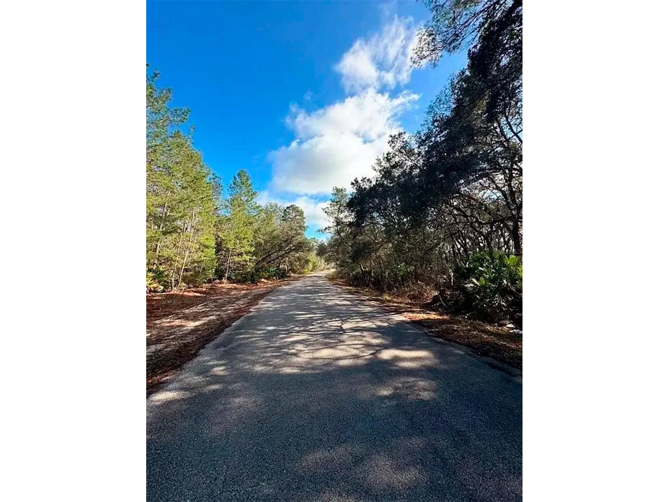 76 Fisher Run Terrace Ocklawaha FL 32179 A4698288 image6