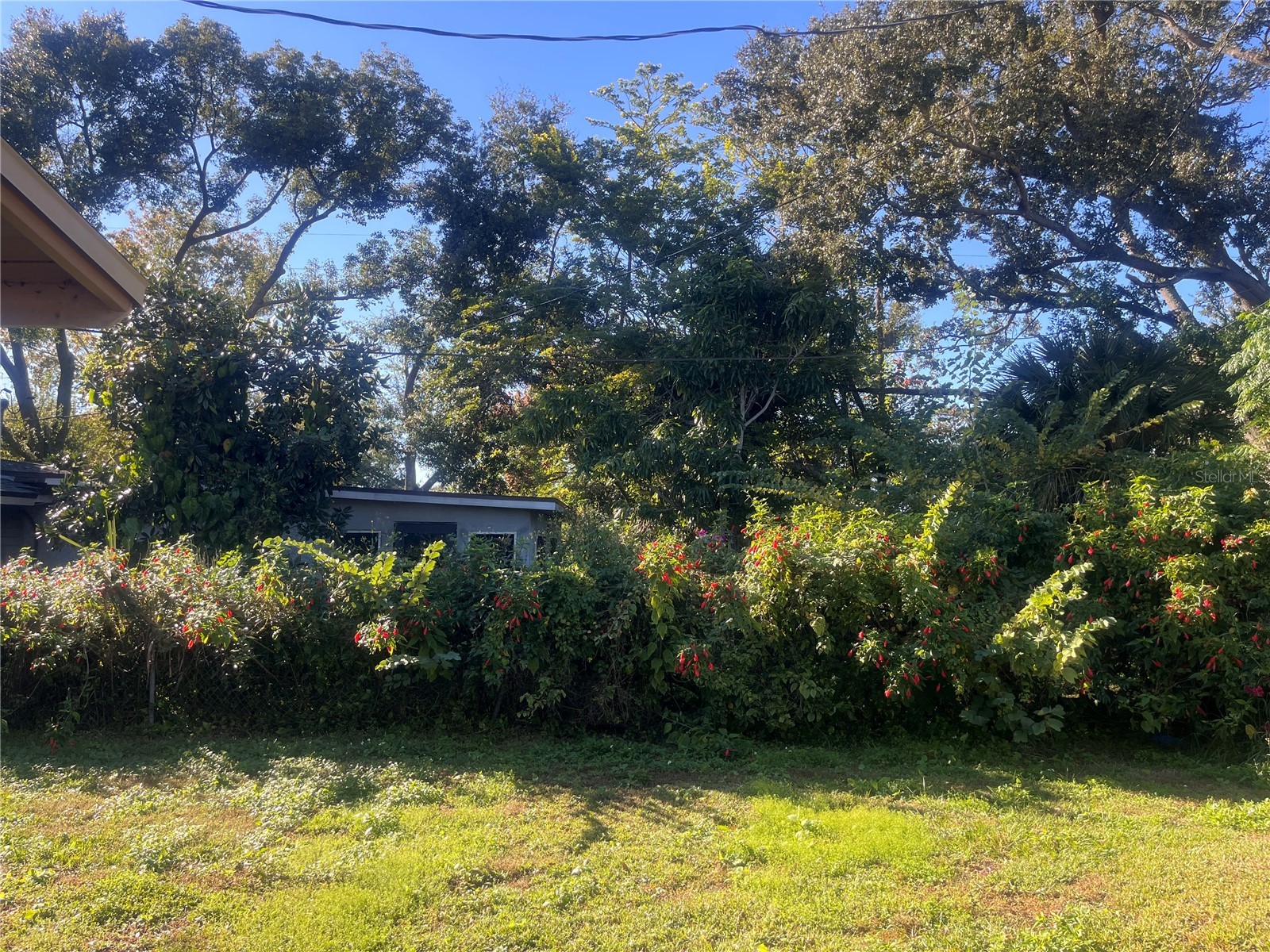 76 Judith Lane Orlando FL 32811 O6366709 image19