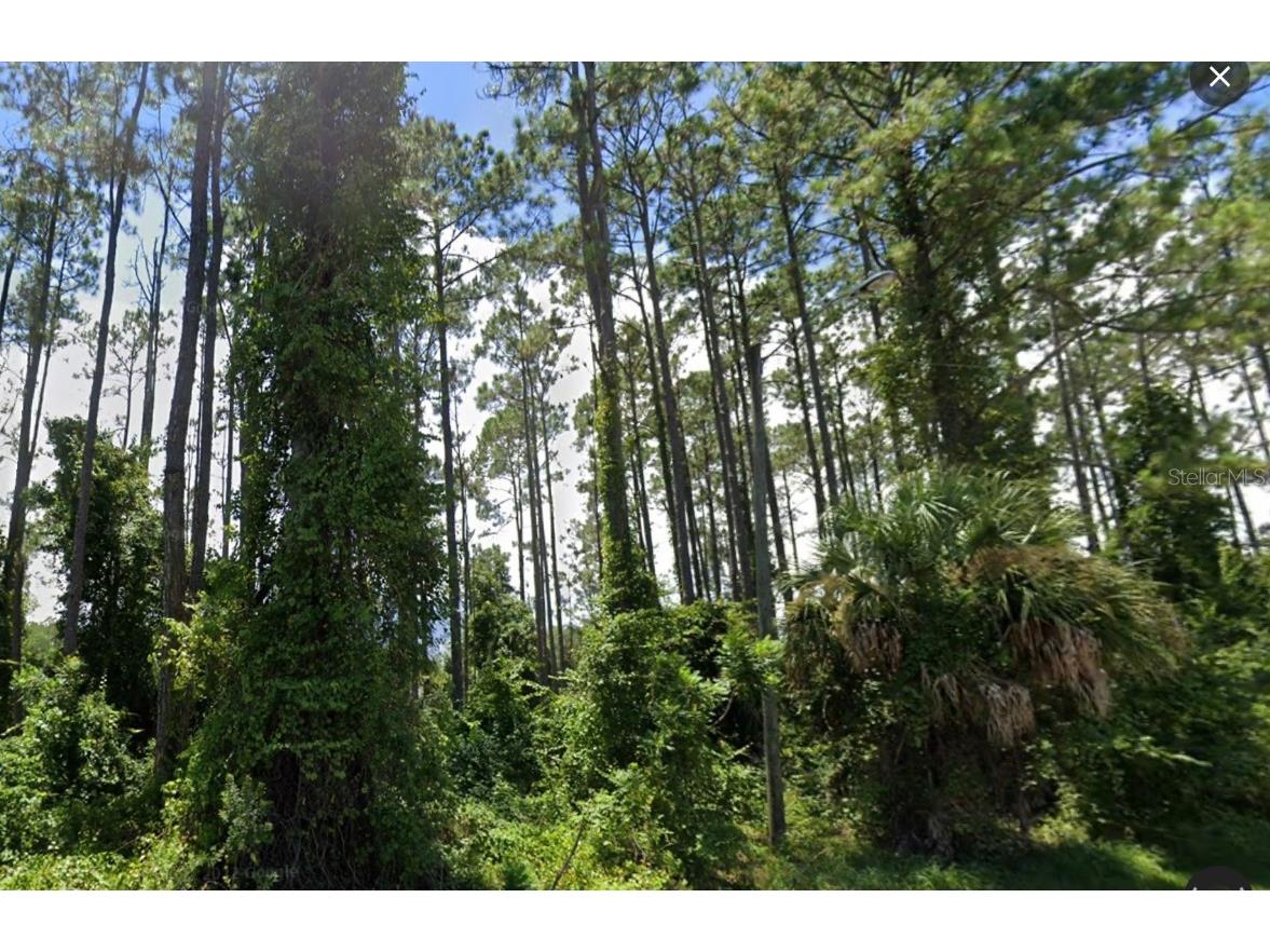 76 Rickenbacker Drive Palm Coast FL 32164 FC297272 image1