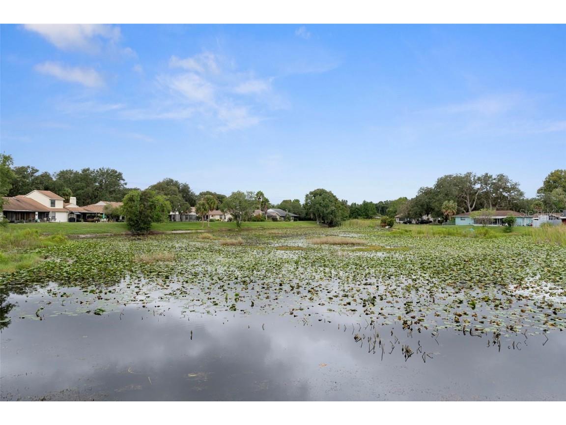 76 S Heron Creek Loop Inverness FL 34450 - LAKE HENDERSON OM709696 image41