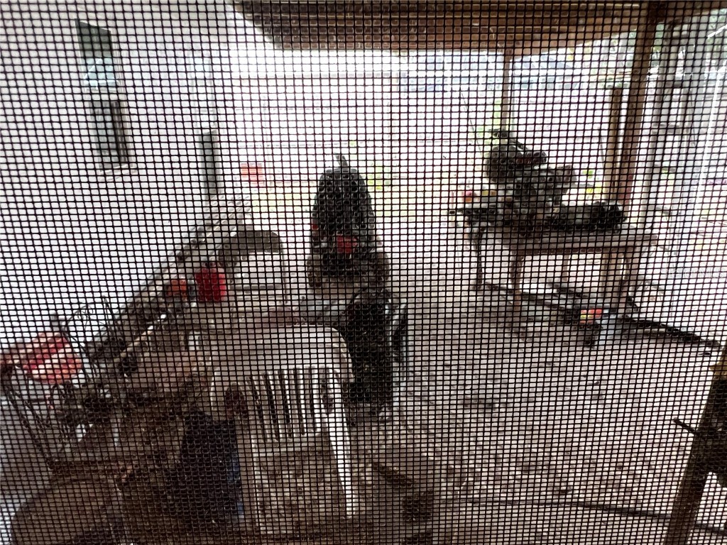 76 Teak Loop Ocala FL 34472 OM714118 image30