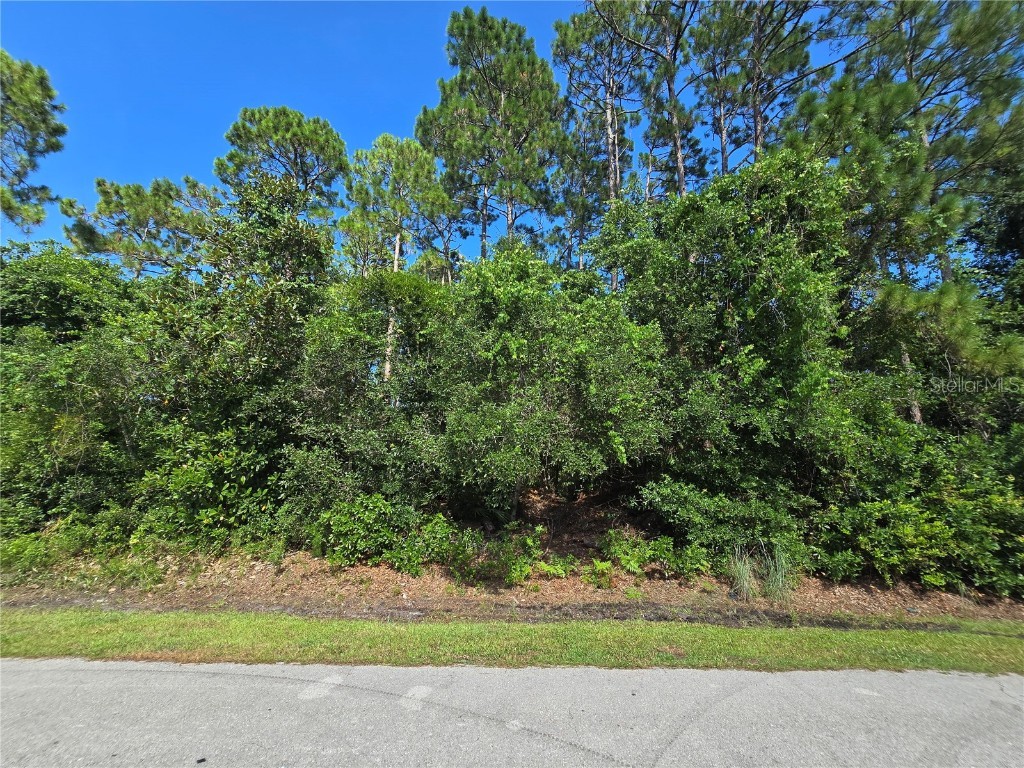 76 Wood Cedar Drive Palm Coast FL 32164 FC311715 image10