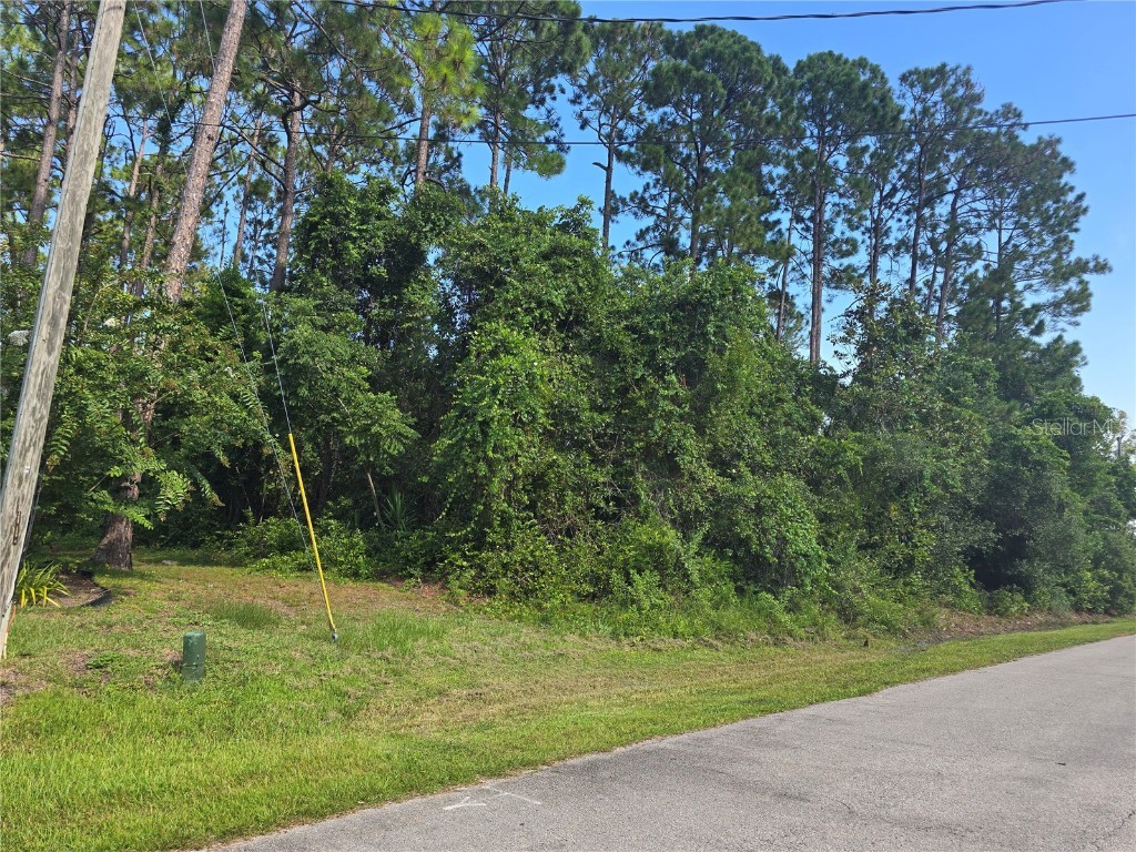 76 Wood Cedar Drive Palm Coast FL 32164 FC311715 image9
