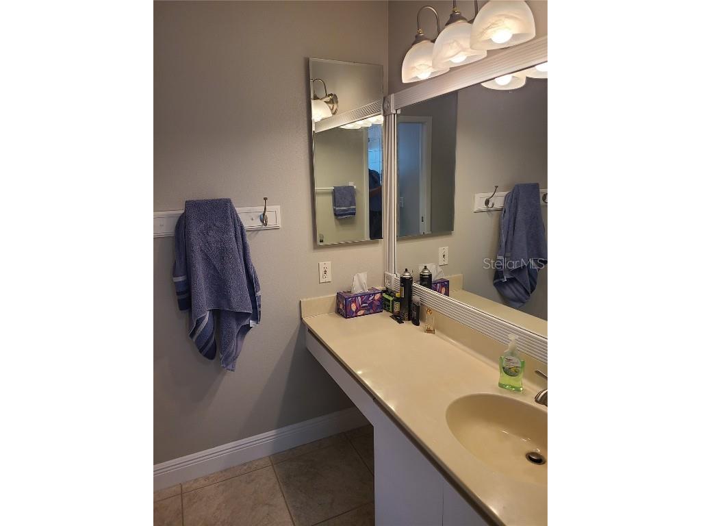 760 Moorland Lane Palm Harbor FL 34683 TB8437834 image29