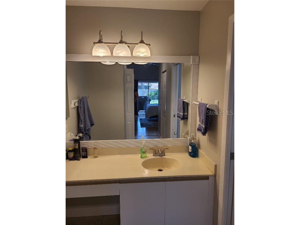 760 Moorland Lane Palm Harbor FL 34683 TB8437834 image30