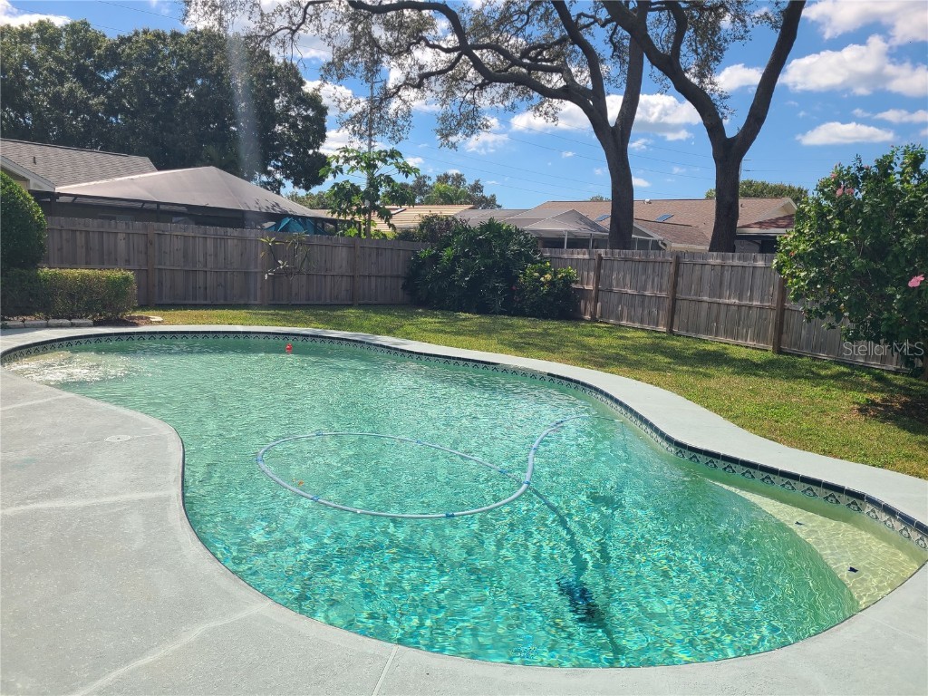 760 Moorland Lane Palm Harbor FL 34683 TB8437834 image43