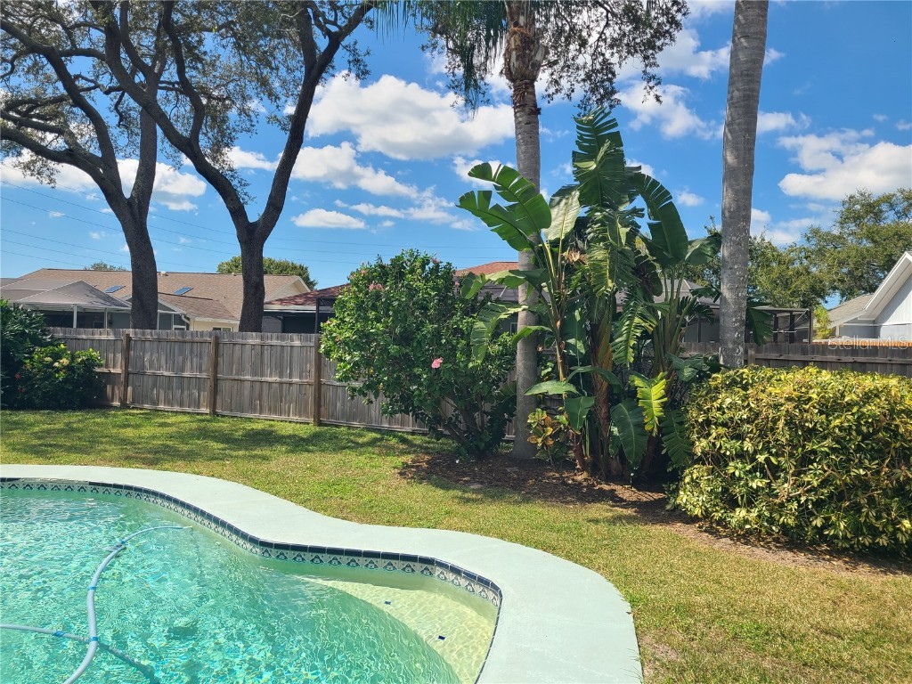 760 Moorland Lane Palm Harbor FL 34683 TB8437834 image44