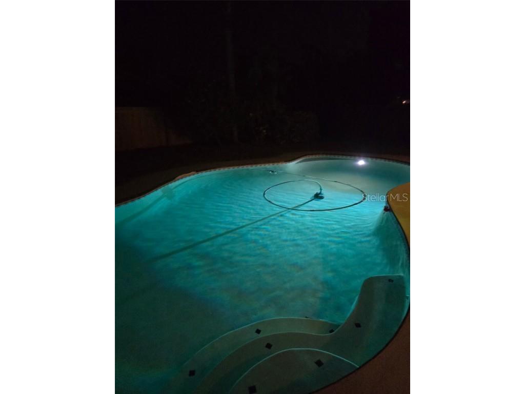 760 Moorland Lane Palm Harbor FL 34683 TB8437834 image48