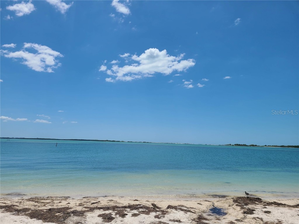 760 Moorland Lane Palm Harbor FL 34683 TB8437834 image49