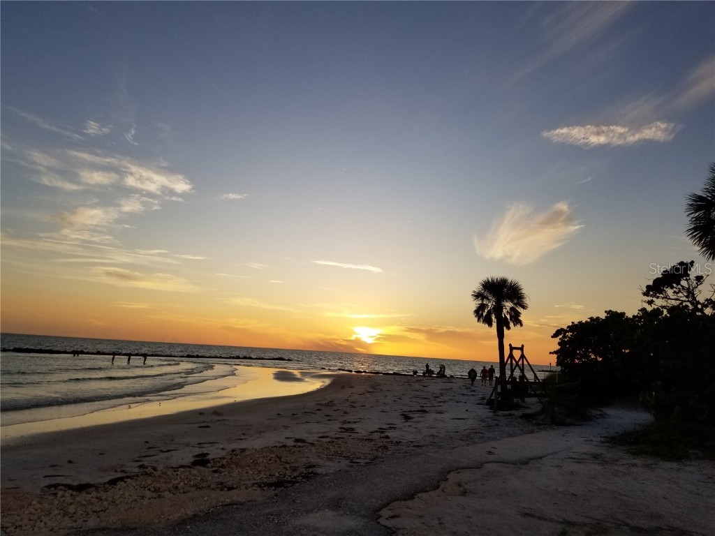 760 Moorland Lane Palm Harbor FL 34683 TB8437834 image50