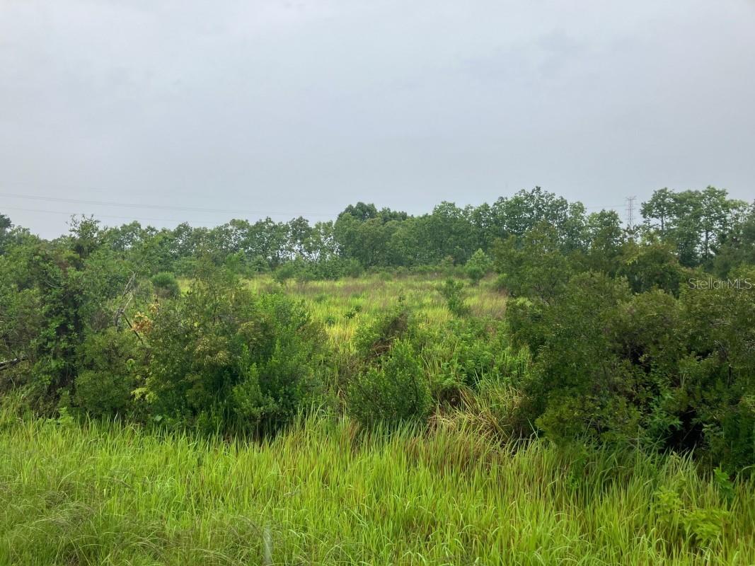 760 S Warfield Road Avon Park FL 33825 A4695969 image5