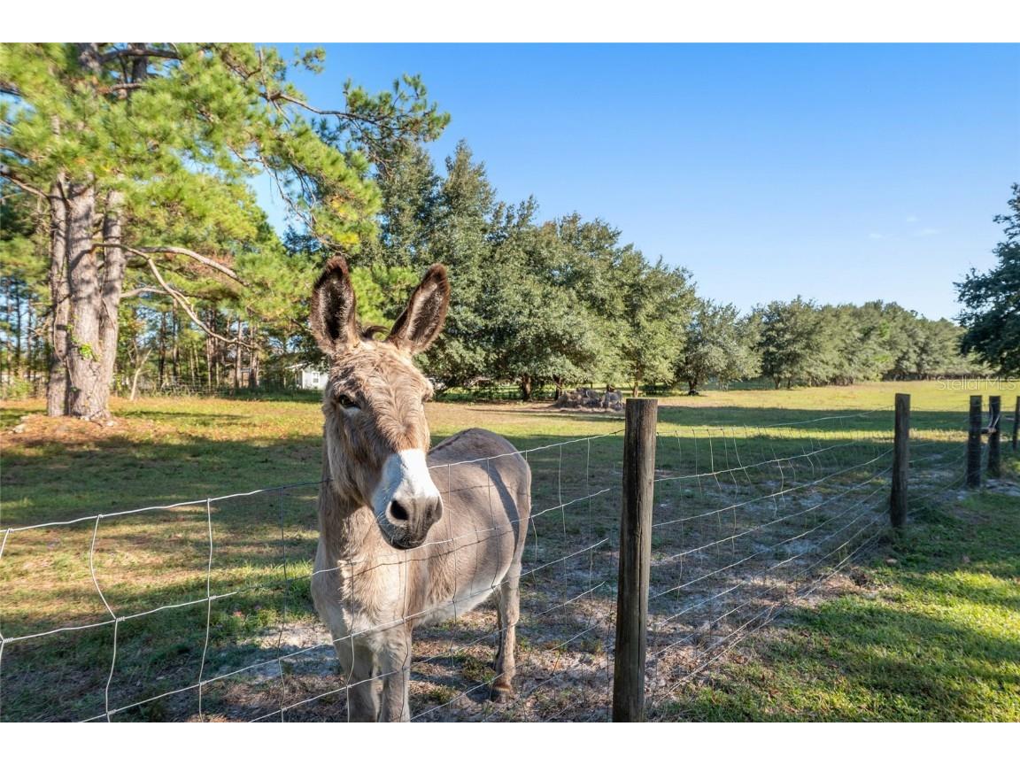 760 SW Barney Street High Springs FL 32643 GC535314 image44