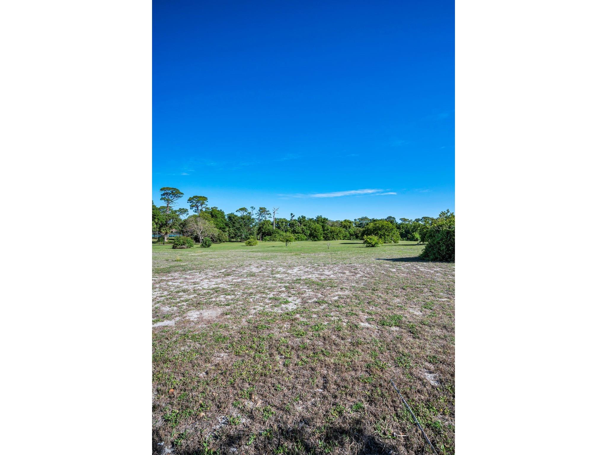 760 Village Way Palm Harbor FL 34683 TB8499704 image49