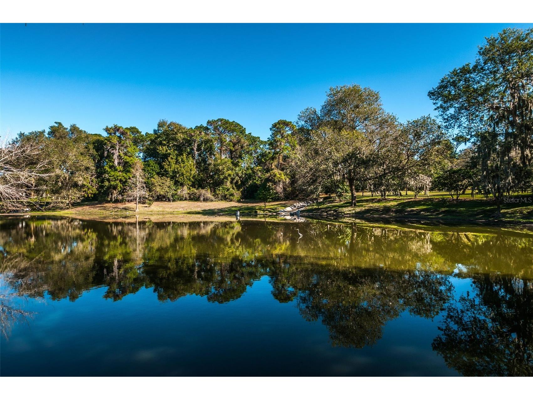 760 Village Way Palm Harbor FL 34683 TB8499704 image98