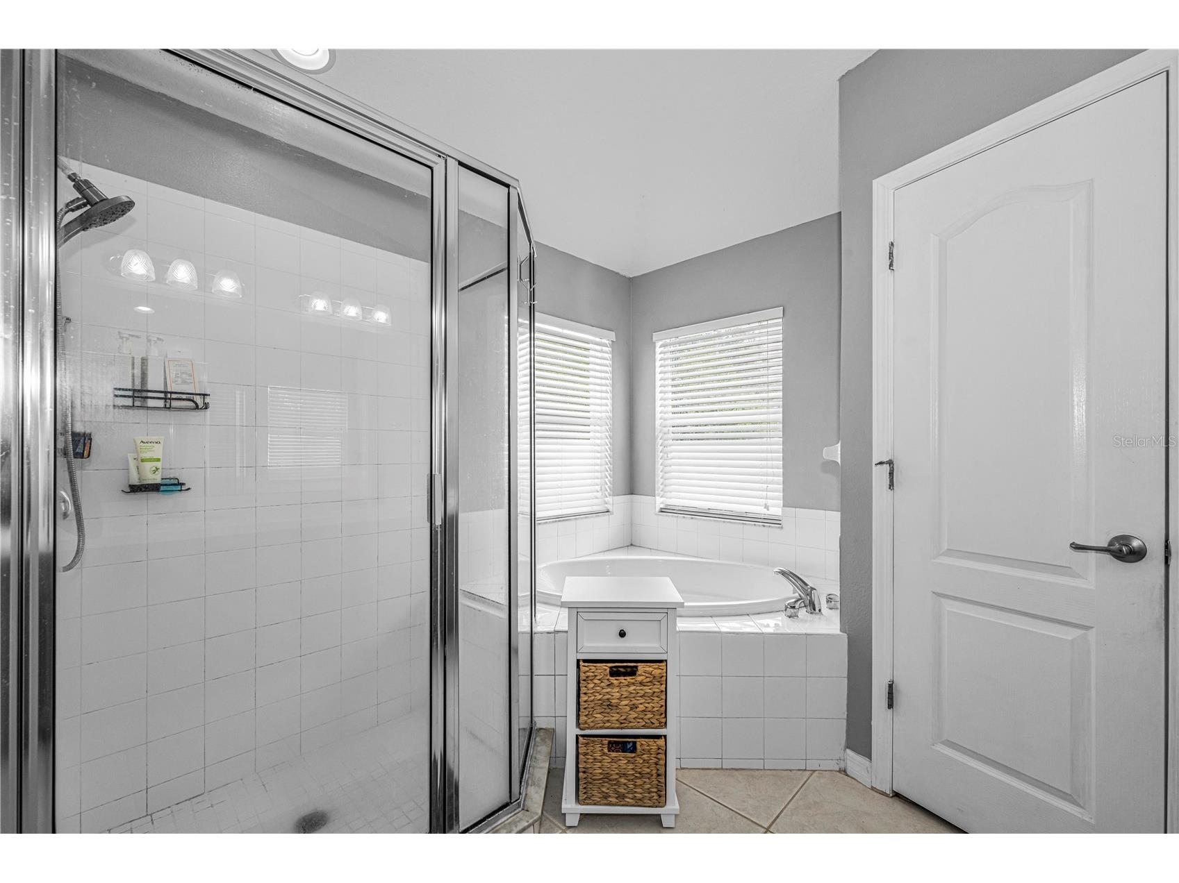 7601 Merchantville Circle Zephyrhills FL 33540 A4693891 image28