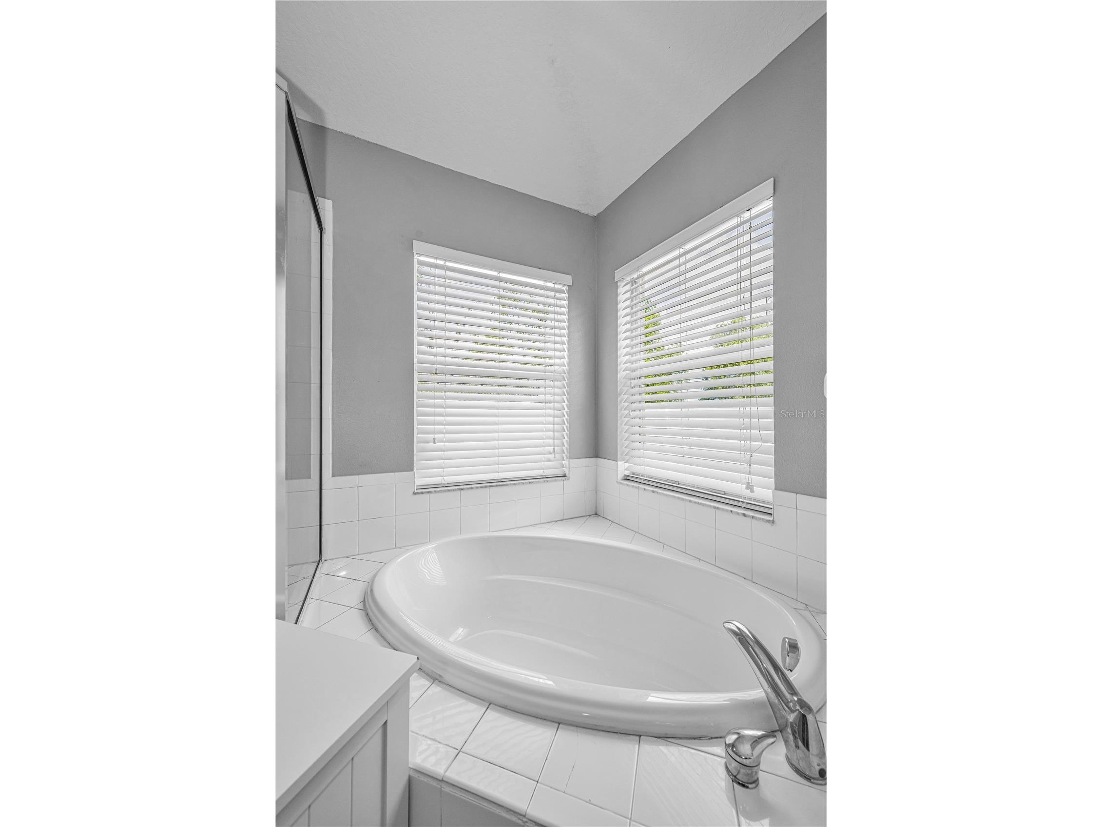7601 Merchantville Circle Zephyrhills FL 33540 A4693891 image29
