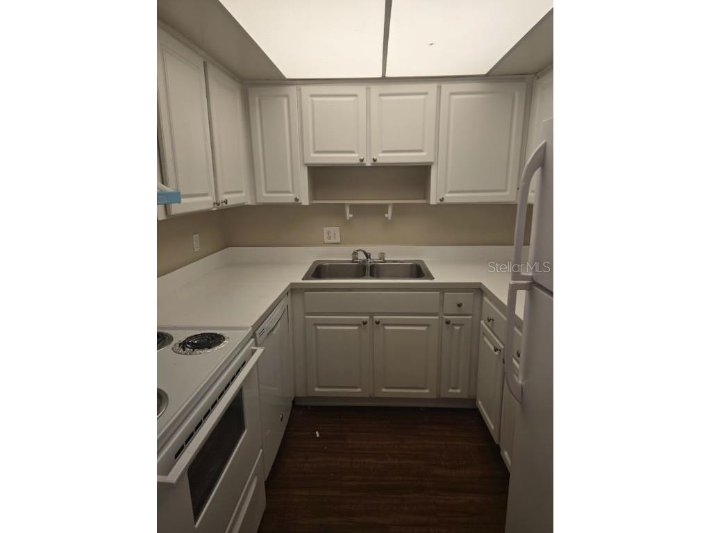 7601 Paula Drive #2 Tampa FL 33615 TB8423276 image5