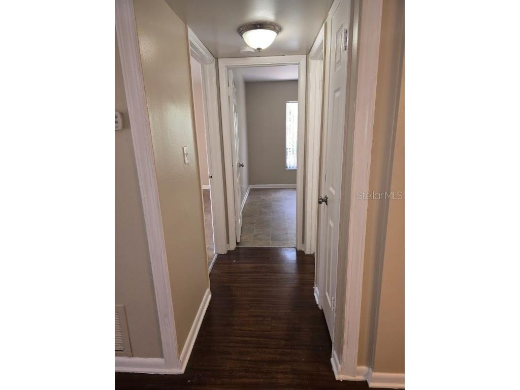 7601 Paula Drive #2 Tampa FL 33615 TB8423276 image8