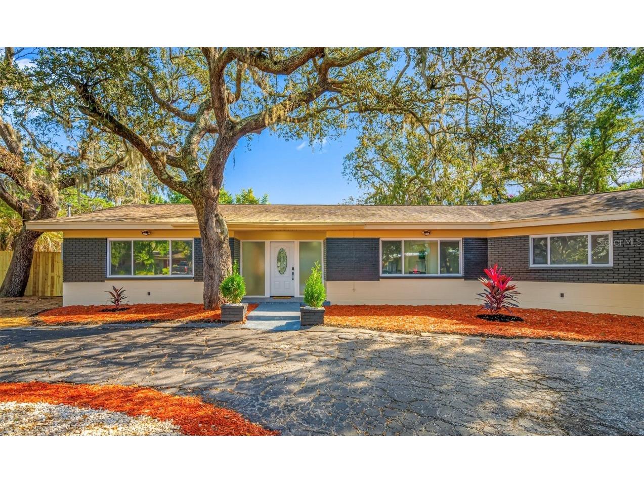 7601 Pine Hill Drive Tampa FL 33617 TB8449566 image2