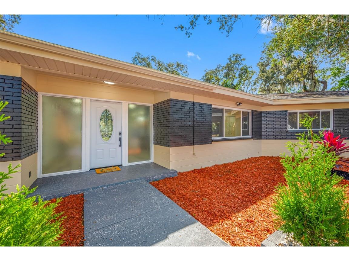 7601 Pine Hill Drive Tampa FL 33617 TB8449566 image3