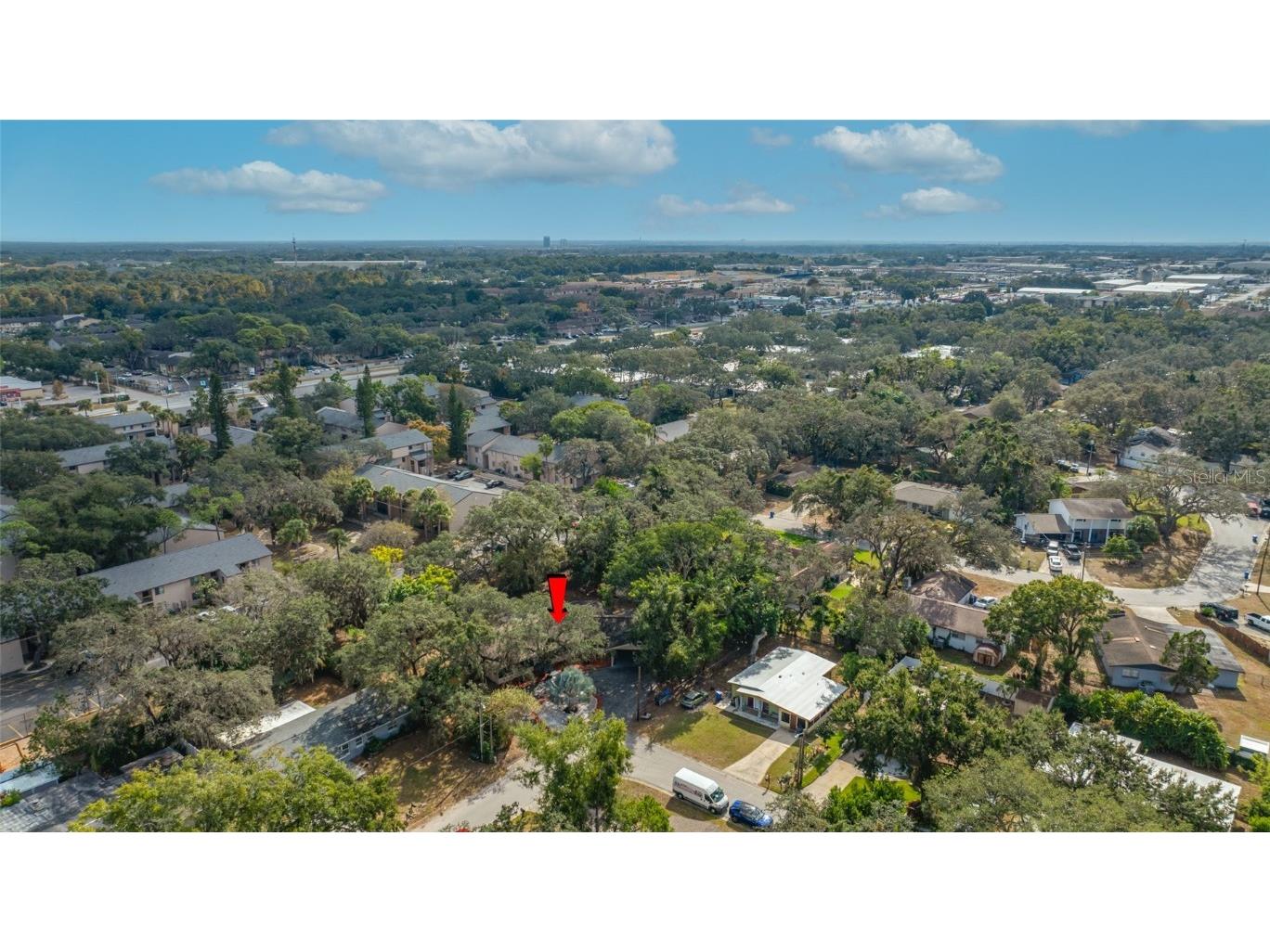 7601 Pine Hill Drive Tampa FL 33617 TB8449566 image36