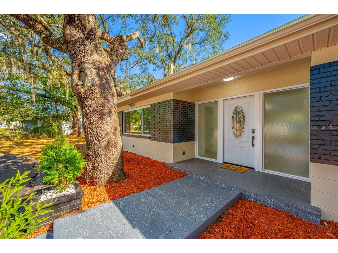 7601 Pine Hill Drive Tampa FL 33617 TB8449566 image4