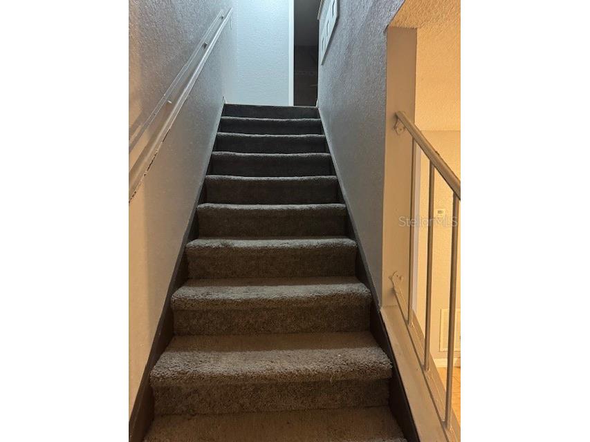 7601 W Deleon Court Tampa FL 33615 TB8386443 image16