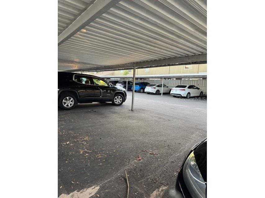 7601 W Deleon Court Tampa FL 33615 TB8386443 image23