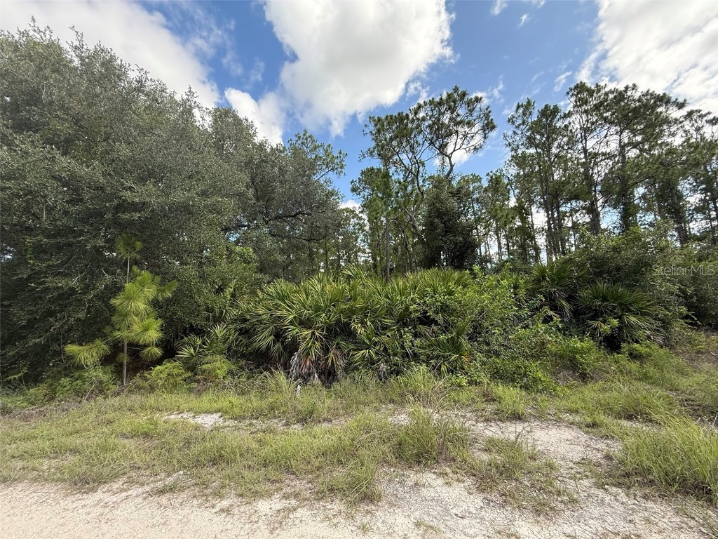 7602 18th Place Labelle FL 33935 OK225342 image1