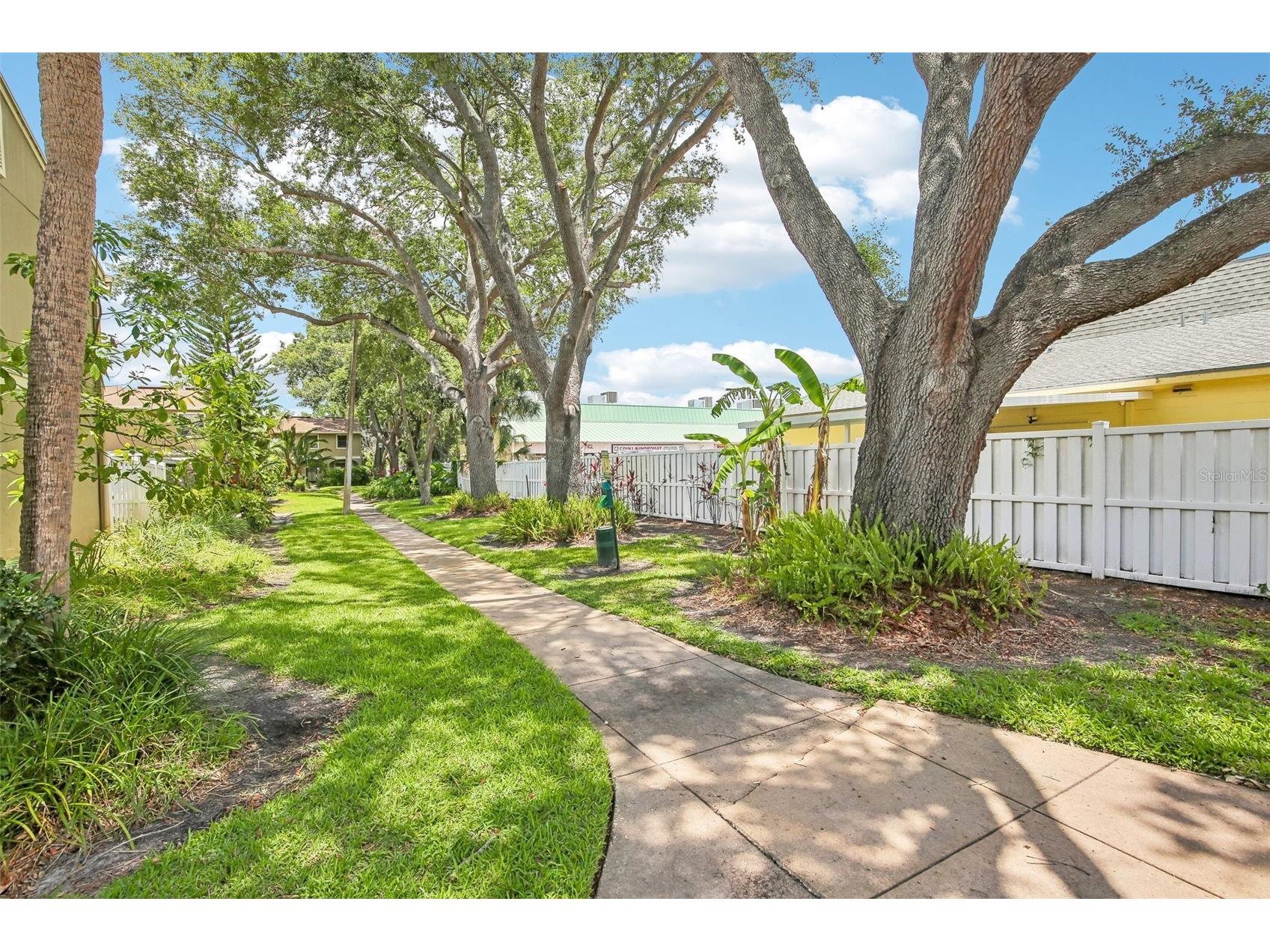 7602 Cortez Court Tampa FL 33615 TB8513166 image24
