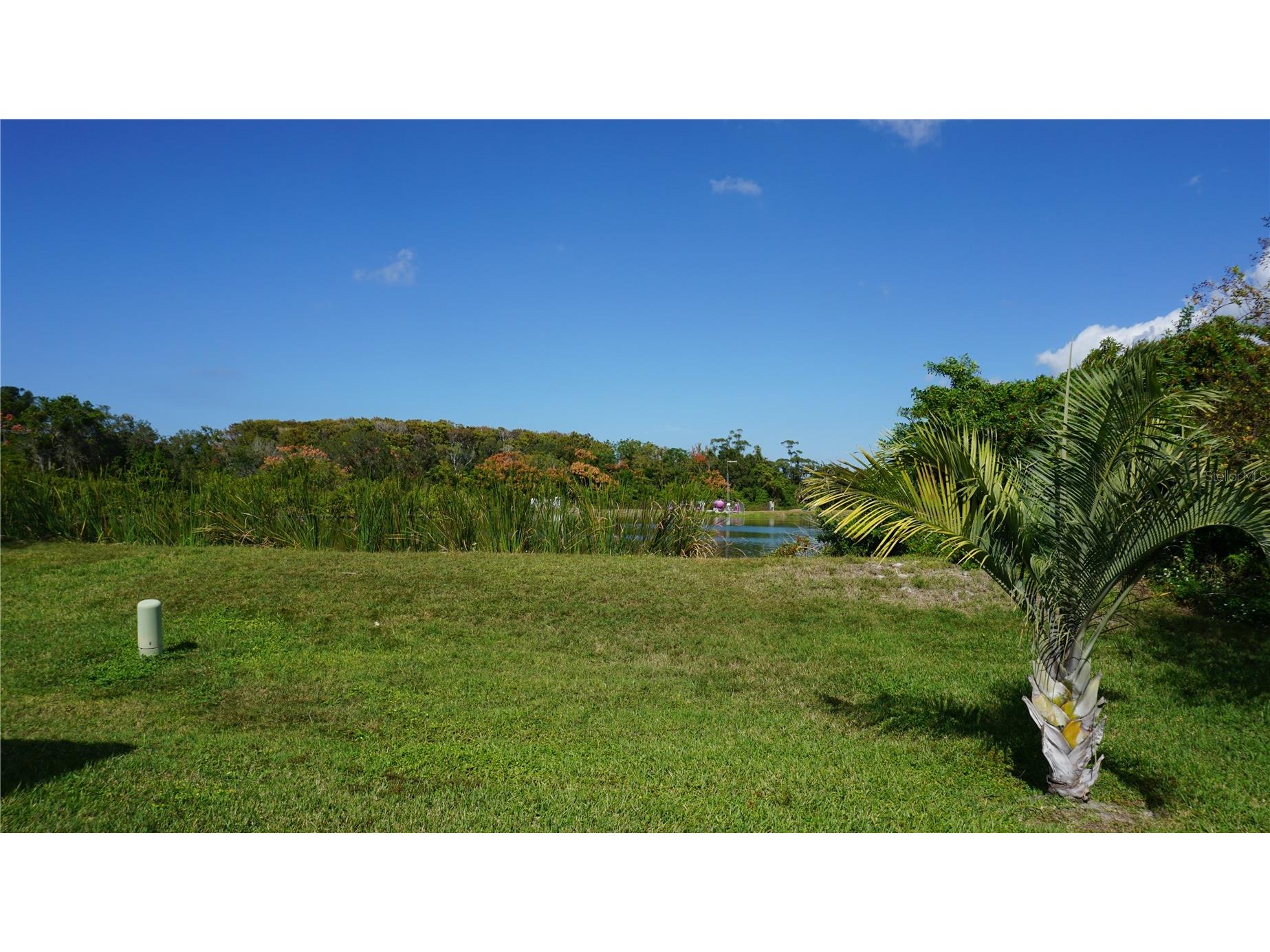 7602 Danube Drive Hudson FL 34667 W7883923 image25