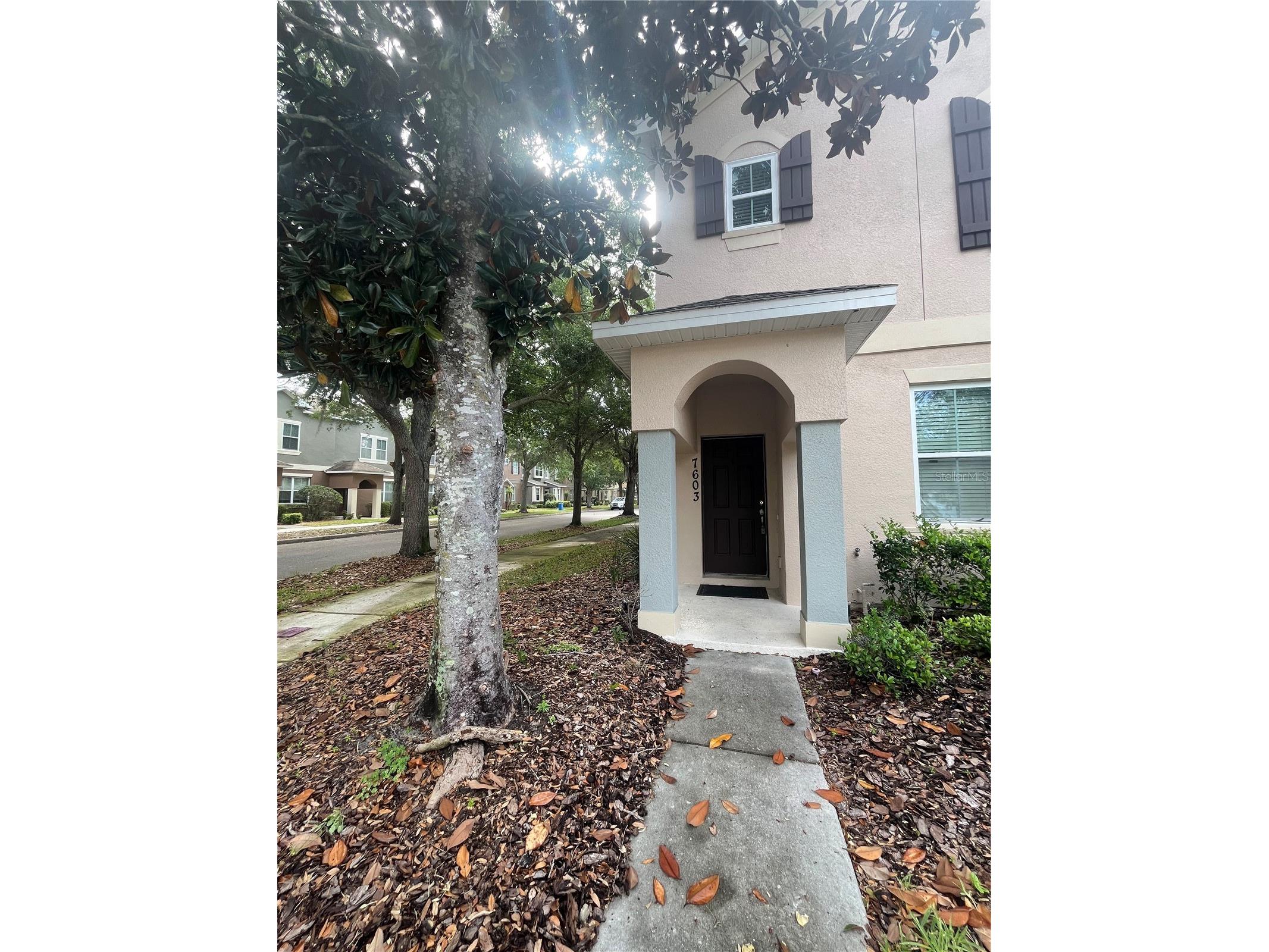 7603 Bramwell Street Windermere FL 34786 O6397384 image30