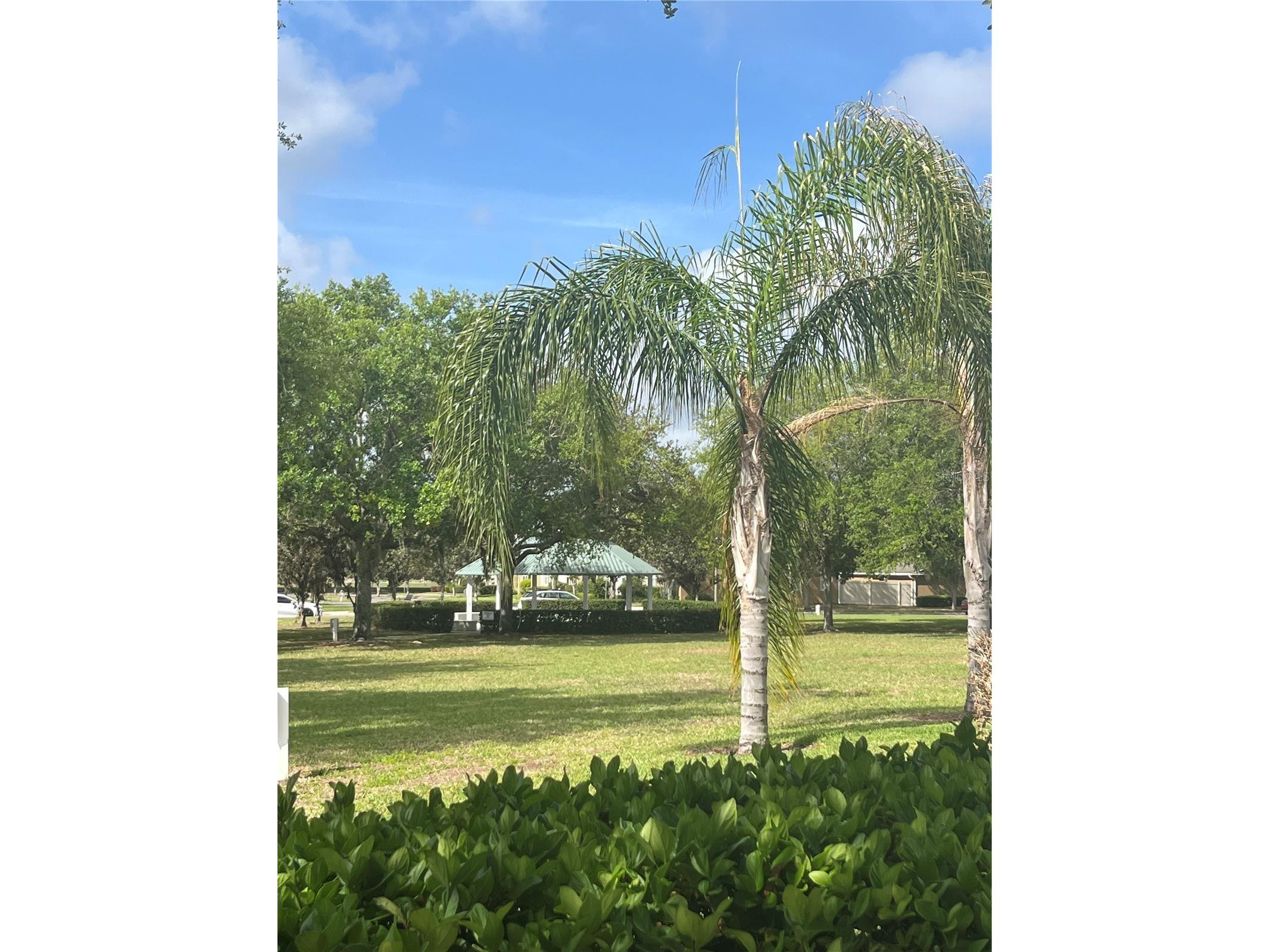 7603 Bramwell Street Windermere FL 34786 O6397384 image9