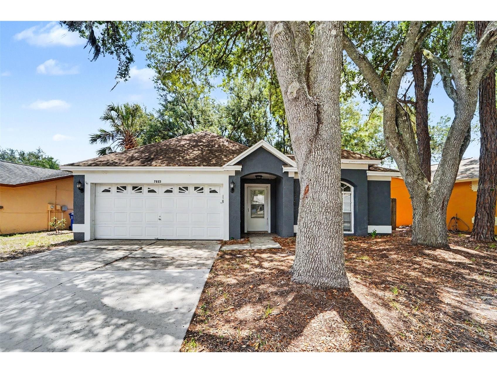 7603 Savannah Lane Tampa FL 33637 O6408675 image2
