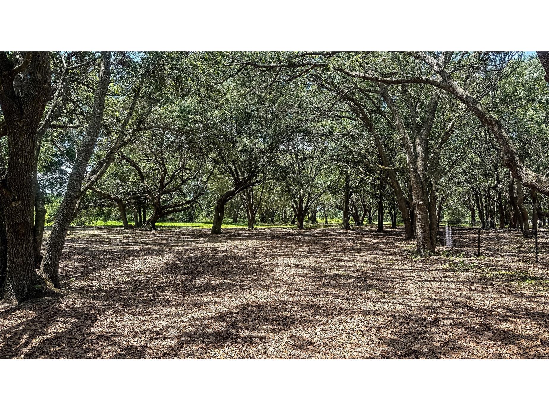 7603 Waterscape Drive Groveland FL 34736 A4682168 image35