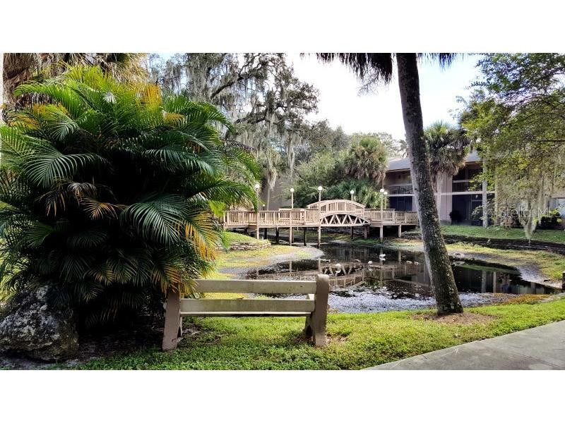 7604 Abbey Lane #210-B Temple Terrace FL 33617 T3438653 image1