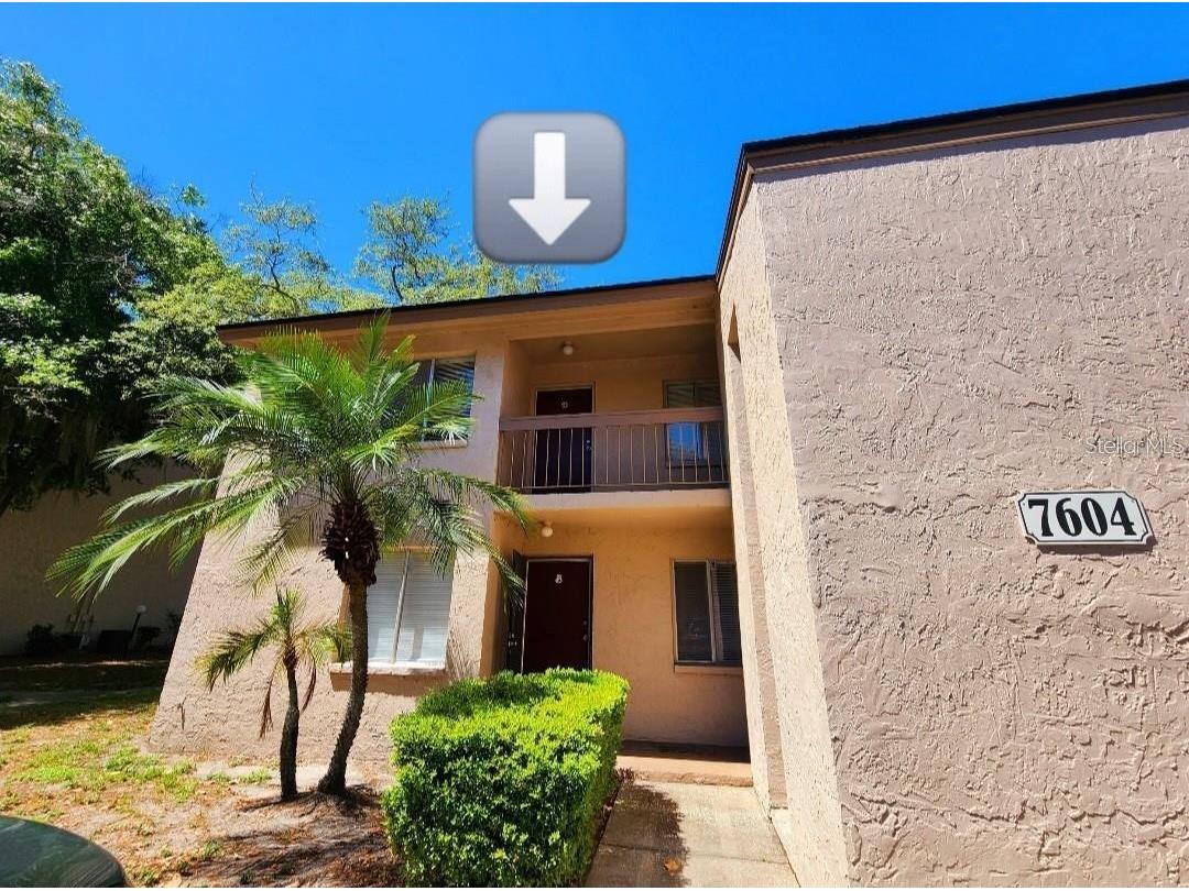 7604 Abbey Lane #214 Tampa FL 33617 TB8481971 image2