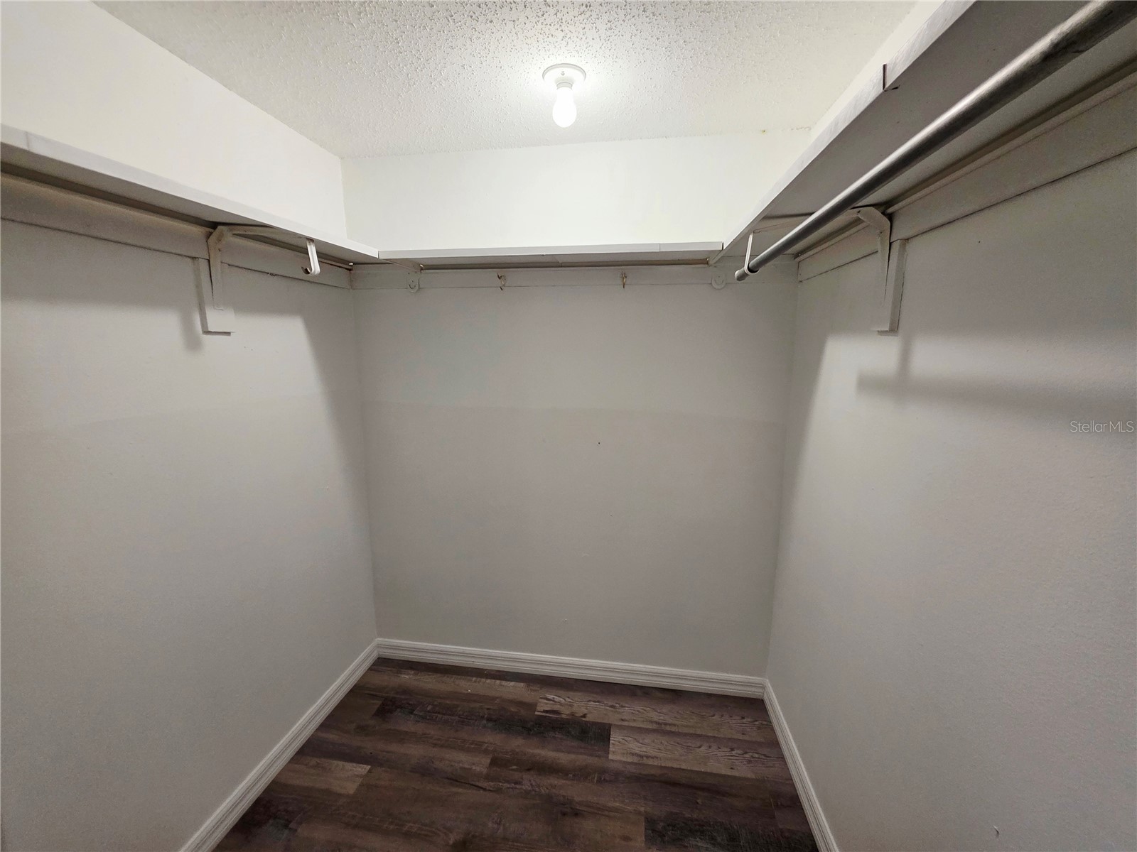 7604 Abbey Lane #214 Tampa FL 33617 TB8481971 image21