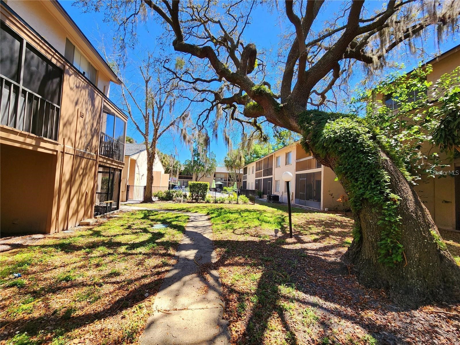 7604 Abbey Lane #214 Tampa FL 33617 TB8481971 image36