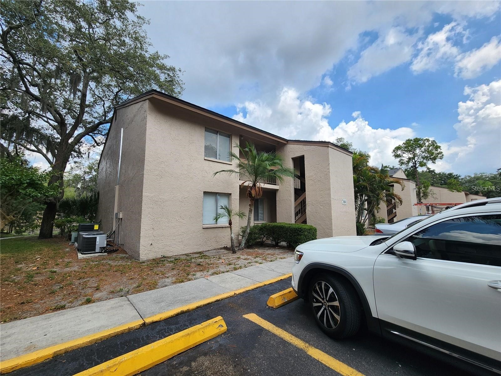 7604 Abbey Lane #214 Tampa FL 33617 TB8481971 image41