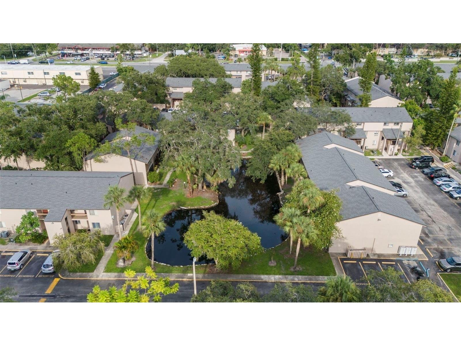 7604 Abbey Lane #214 Tampa FL 33617 TB8481971 image44