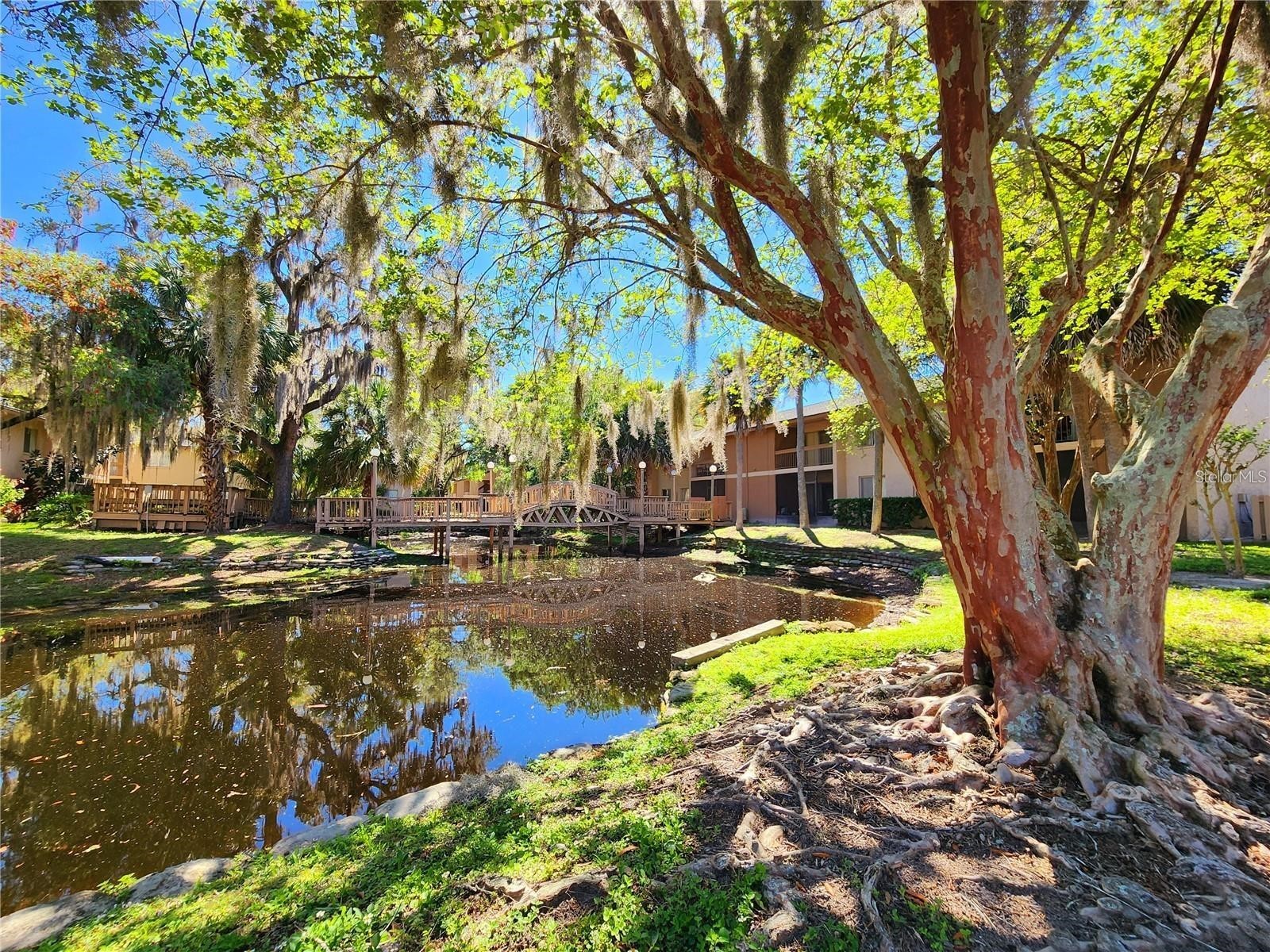 7604 Abbey Lane #214 Tampa FL 33617 TB8481971 image8