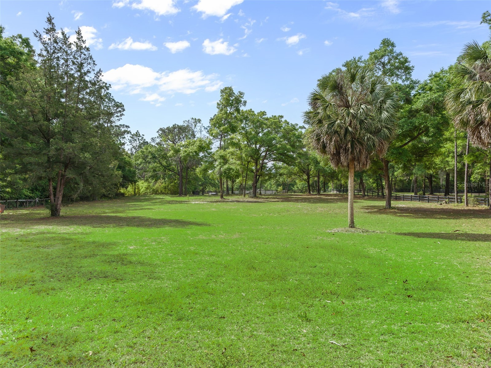 7604 NW 14th Ocala FL 34482 OM721996 image53