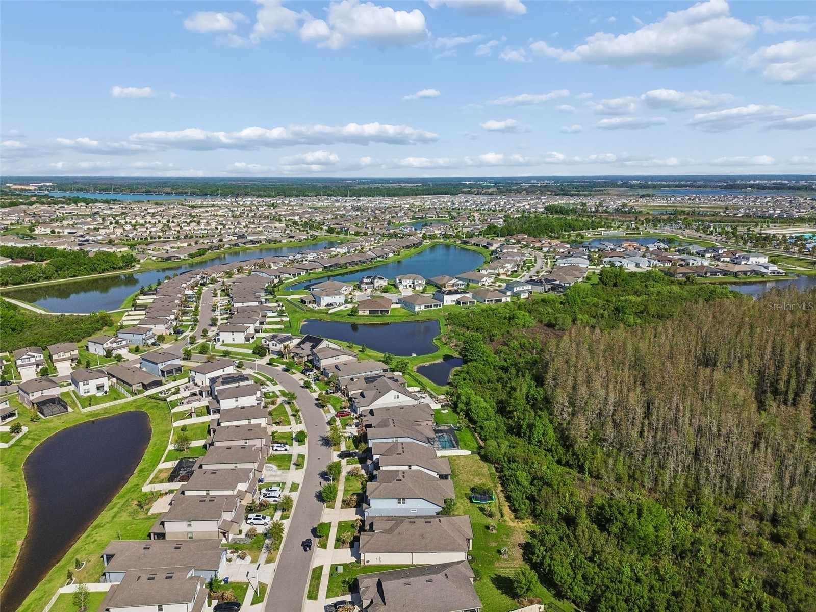 7604 Pool Compass Loop Wesley Chapel FL 33545 OM721811 image88