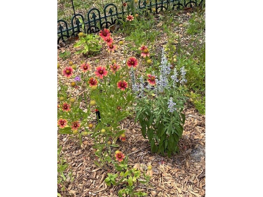 7604 Weeping Willow Circle Sarasota FL 34241 A4679213 image68